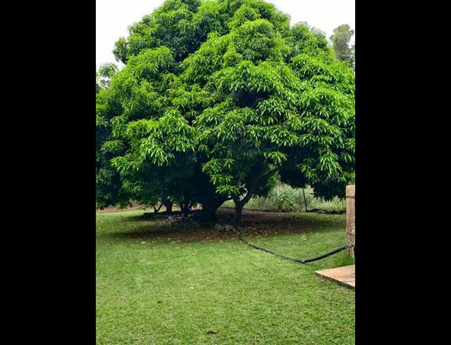 FARM FOR SALE IN THABAZIMBI